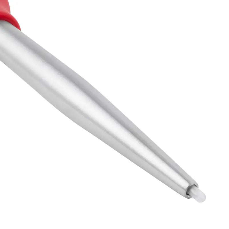 Stainless Steel Basting Pump with Ergonomic Handle