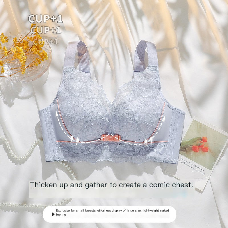 Lace Push-Up Bra for Small Bust with Support Features