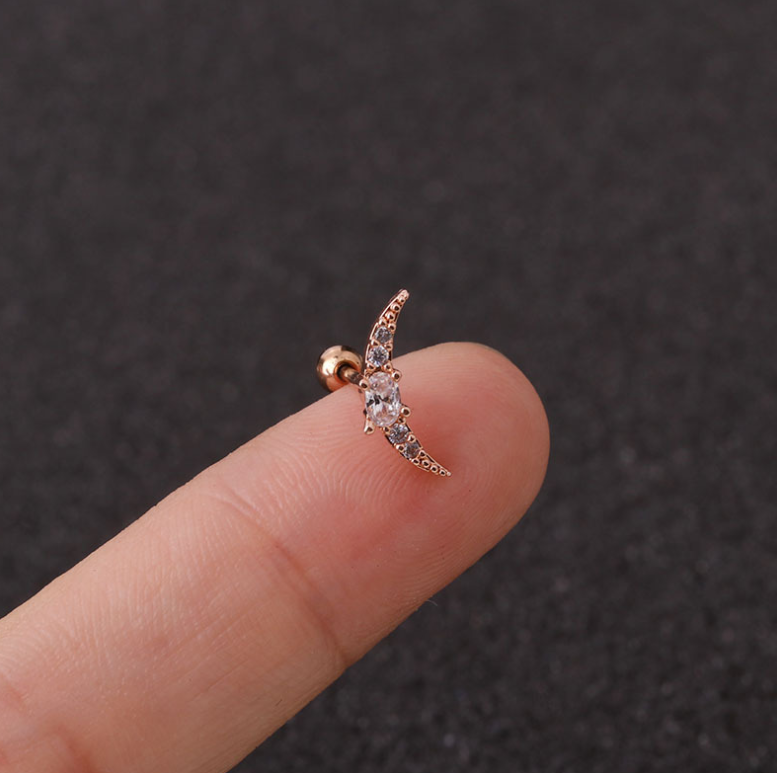 Stainless Steel Star Zirconia Screw Earrings (Pierced)